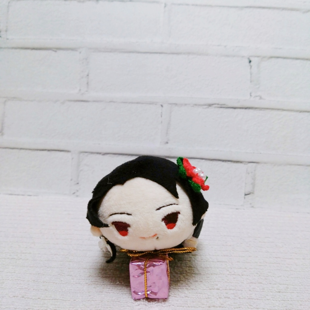 もちマスとクリスマス🎄ポインセチア