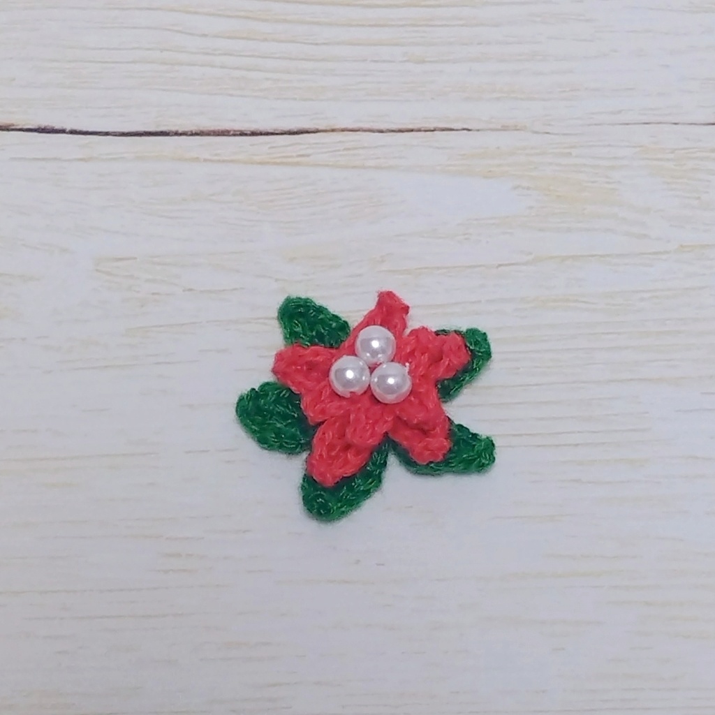 もちマスとクリスマス🎄ポインセチア