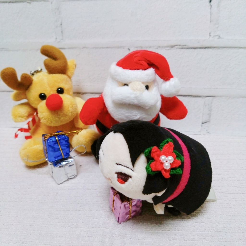 もちマスとクリスマス🎄ポインセチア