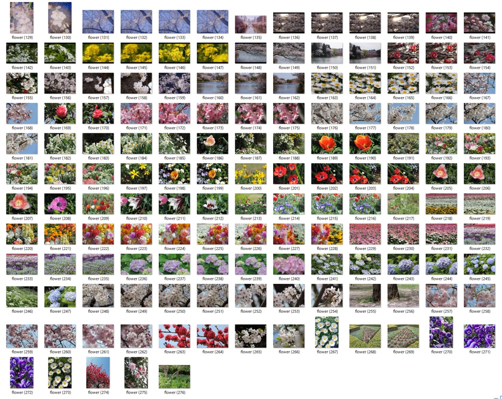 【大容量276枚🌷】花の写真セット/Fancy pictures set【Photoshop】