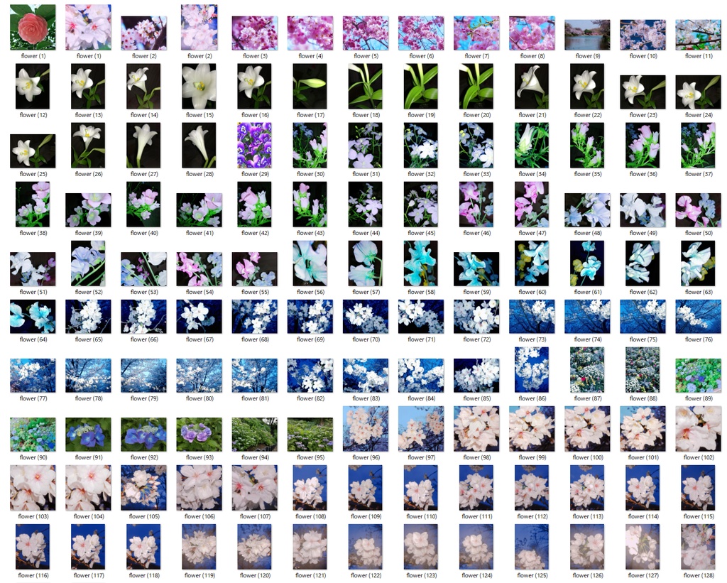 【大容量276枚🌷】花の写真セット/Fancy pictures set【Photoshop】