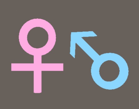 【VRC想定】オスメスマーク(2種類+1)