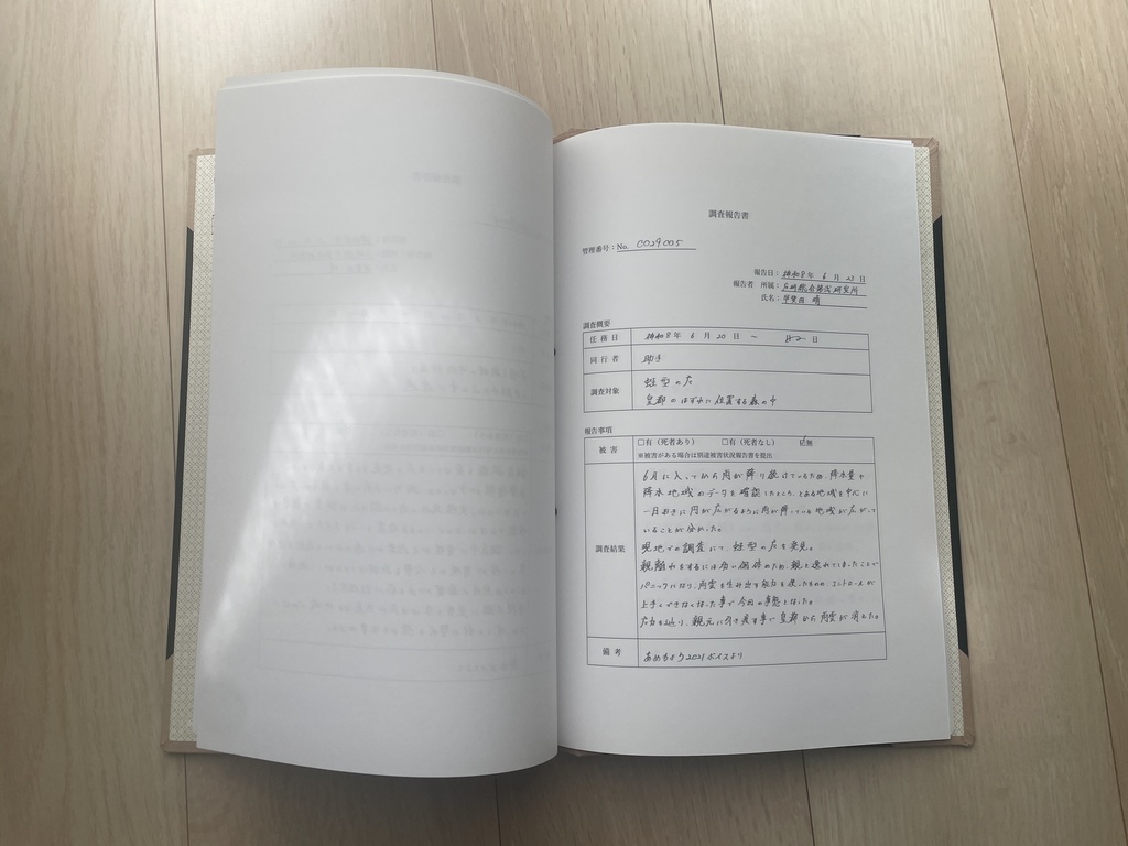 調査・任務報告書