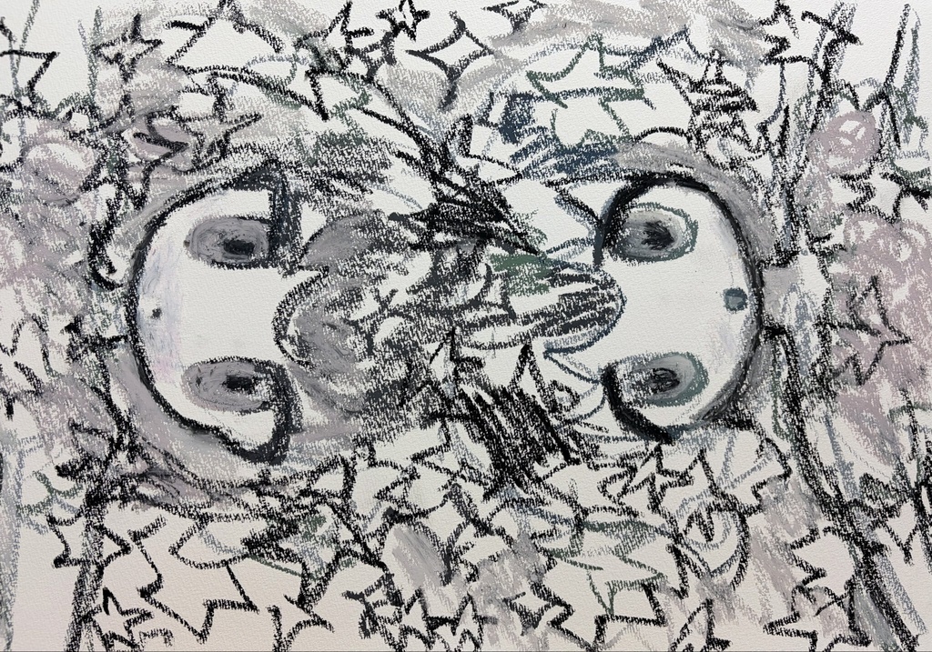 ⭐️🩶⭐️