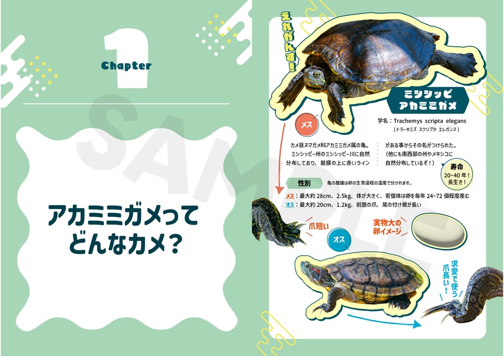 アカミミガメは悪者なの? 紙書籍版