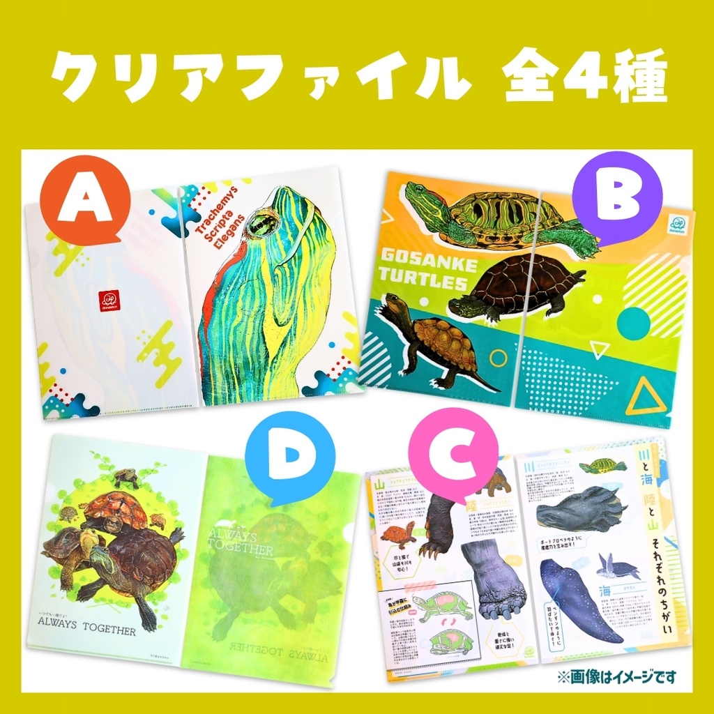 カメたちのクリアファイル[全４種]