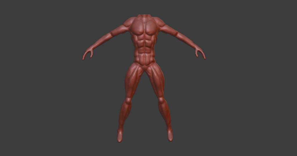 3Dモデル 筋肉２ 無料