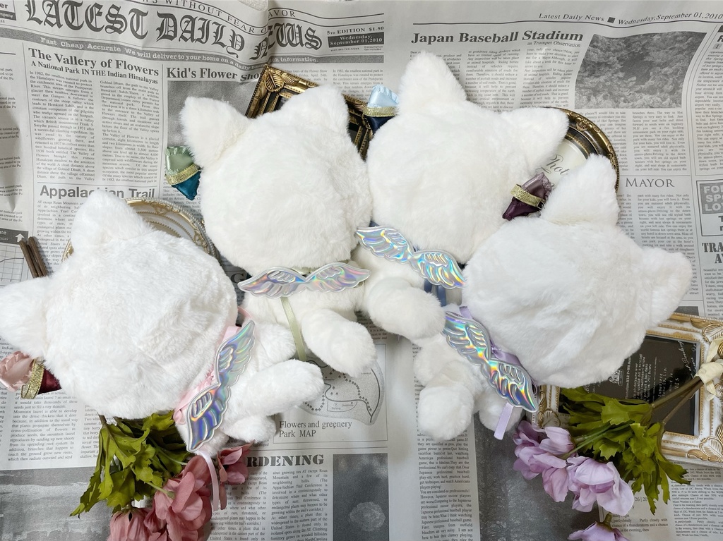 ホワイトにゃんこ