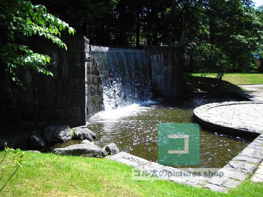 水辺(春夏)②10枚・1セット