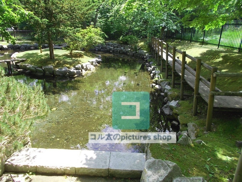 水辺(春夏)②10枚・1セット