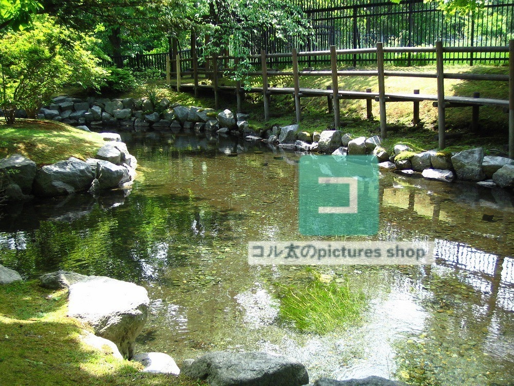 水辺(春夏)②10枚・1セット