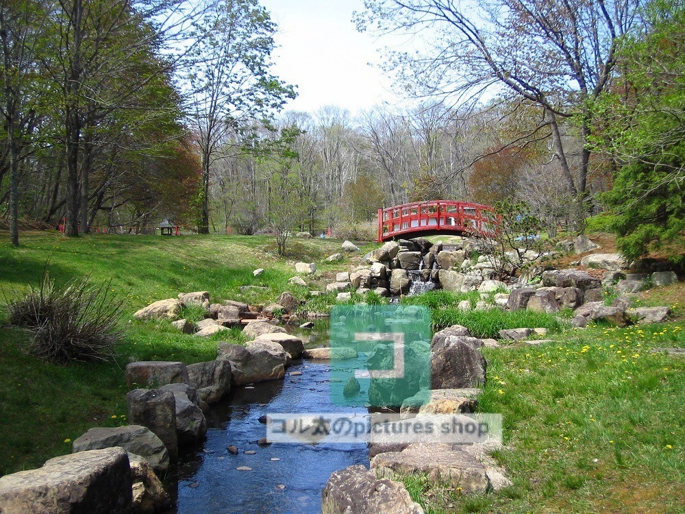 水辺(春夏)①10枚・1セット