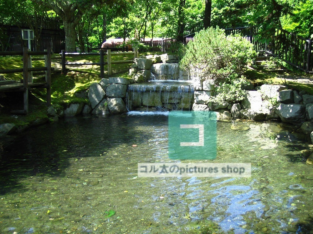 水辺(春夏)①10枚・1セット