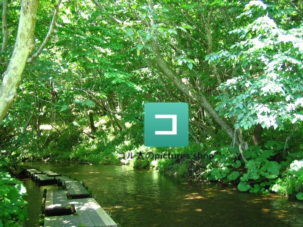 水辺(春夏)①10枚・1セット