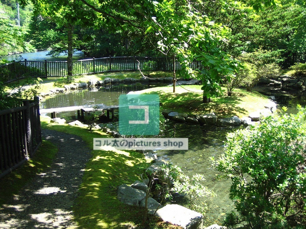 水辺(春夏)①10枚・1セット