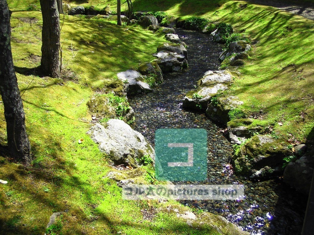 水辺(春夏)①10枚・1セット