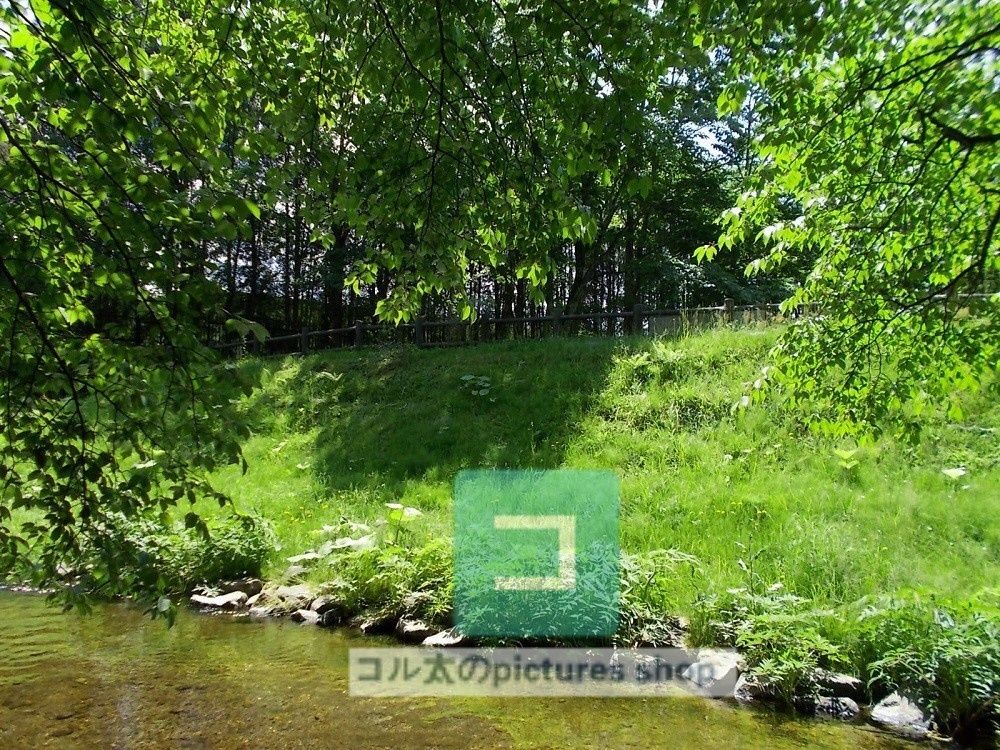 水辺(春夏)③10枚・1セット