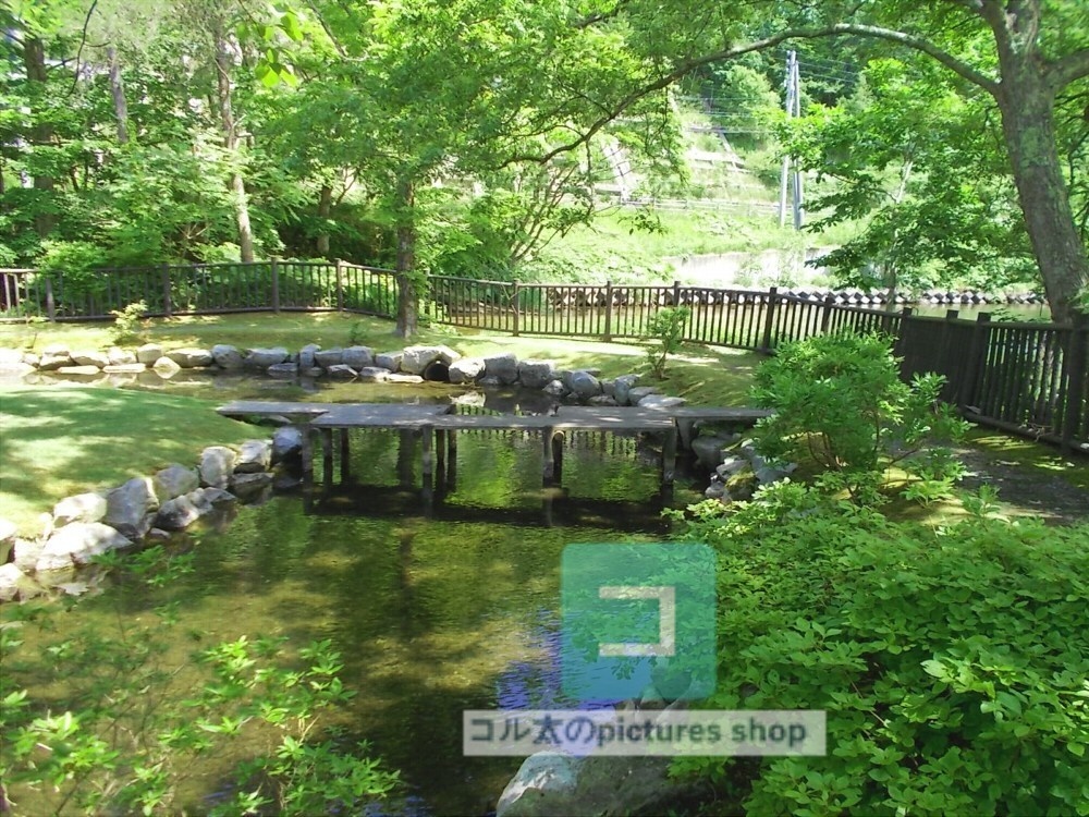 水辺(春夏)③10枚・1セット