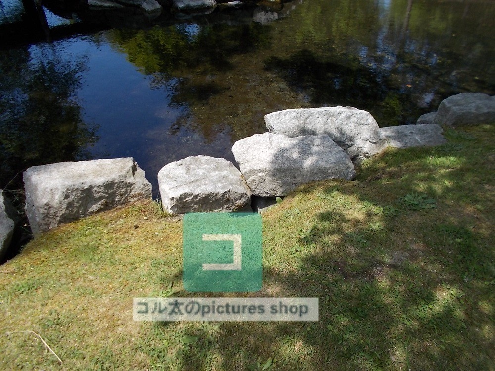 水辺(春夏)③10枚・1セット