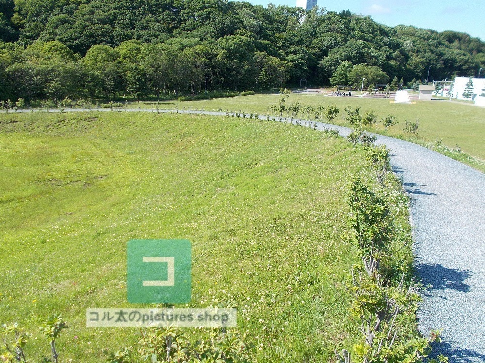 道のある風景①10枚・1セット