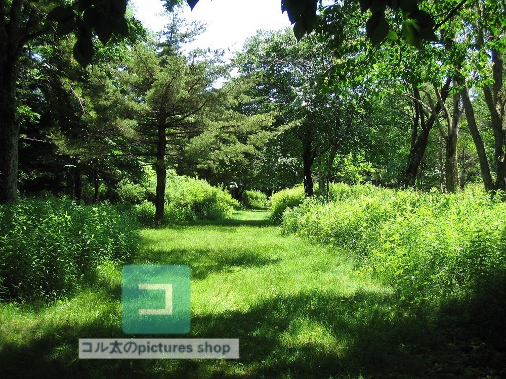 道のある風景①10枚・1セット