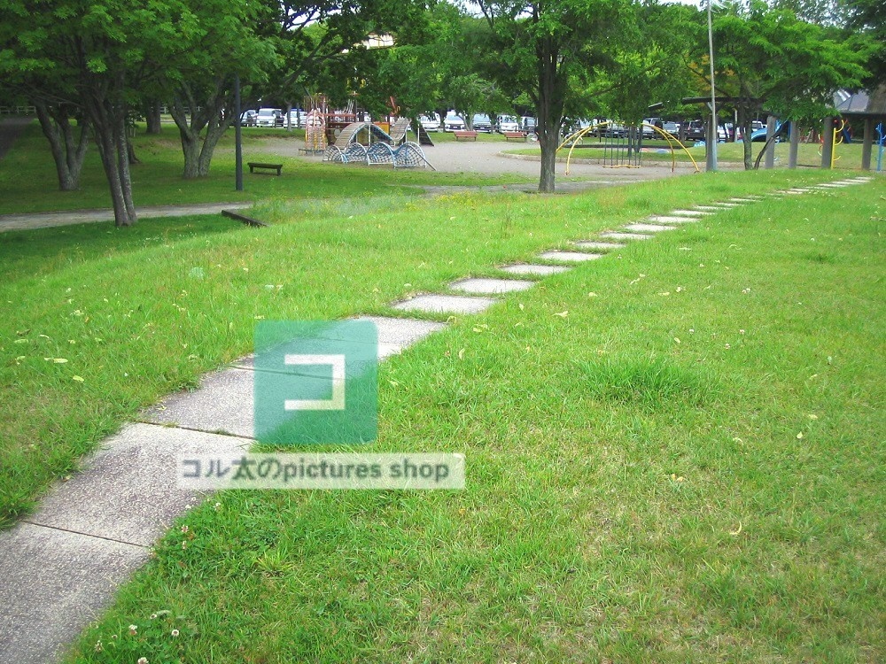 道のある風景①10枚・1セット