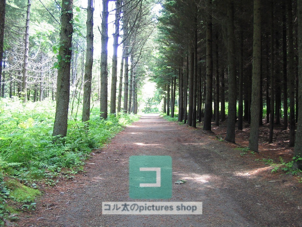 道のある風景①10枚・1セット