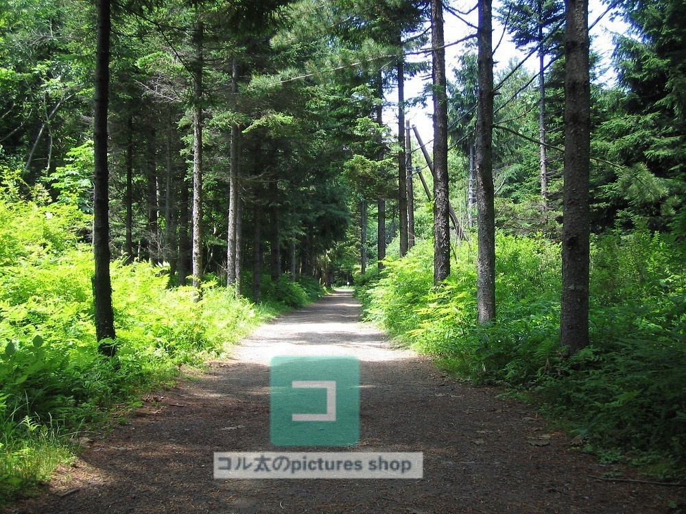 道のある風景①10枚・1セット