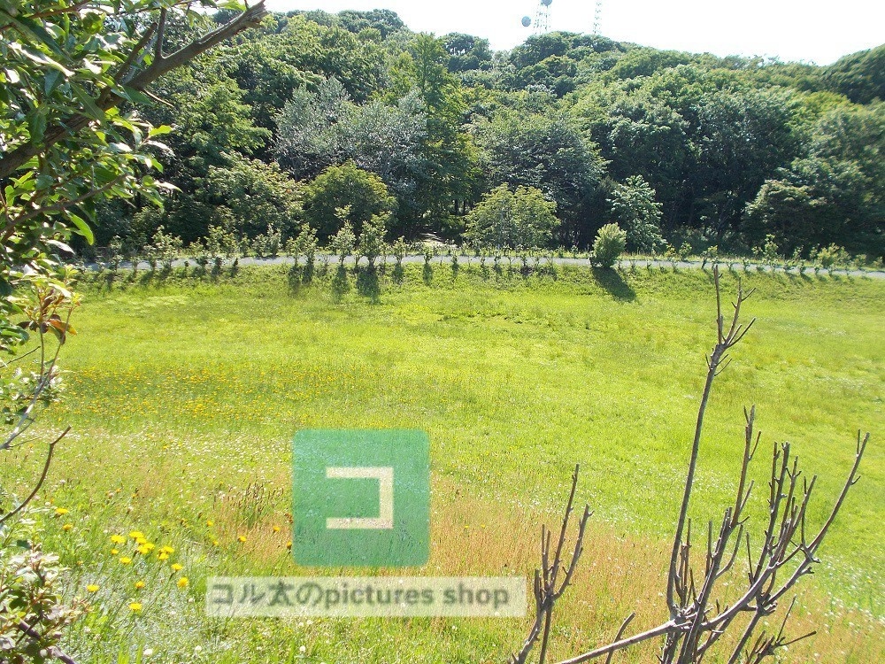 道のある風景①10枚・1セット