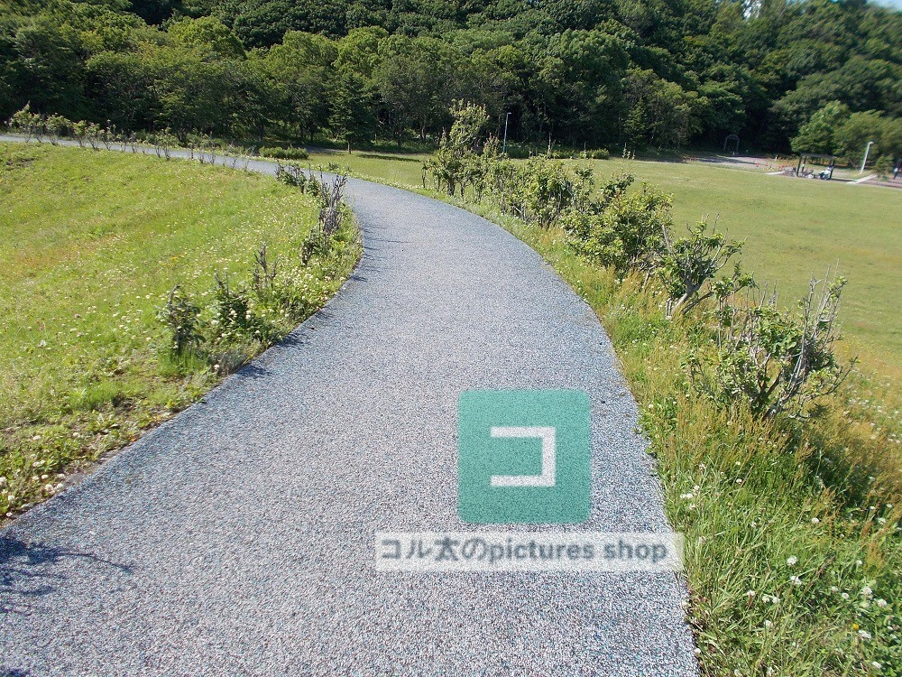 道のある風景①10枚・1セット