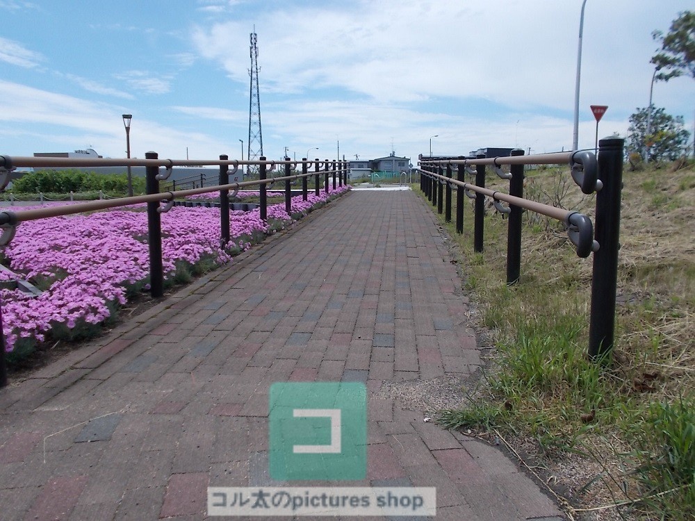 道のある風景②10枚・1セット