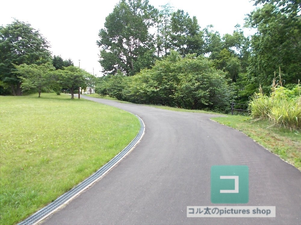 道のある風景②10枚・1セット