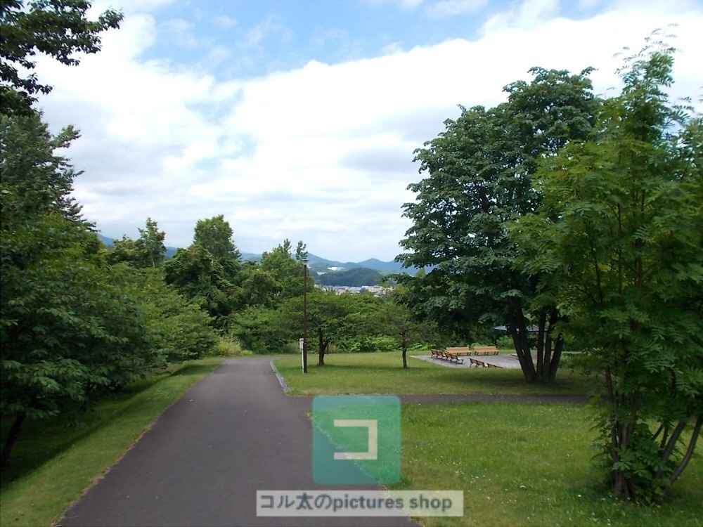 道のある風景③10枚・1セット