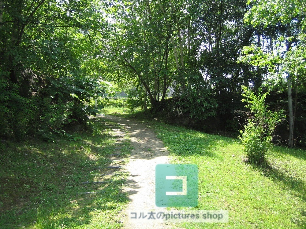 道のある風景③10枚・1セット