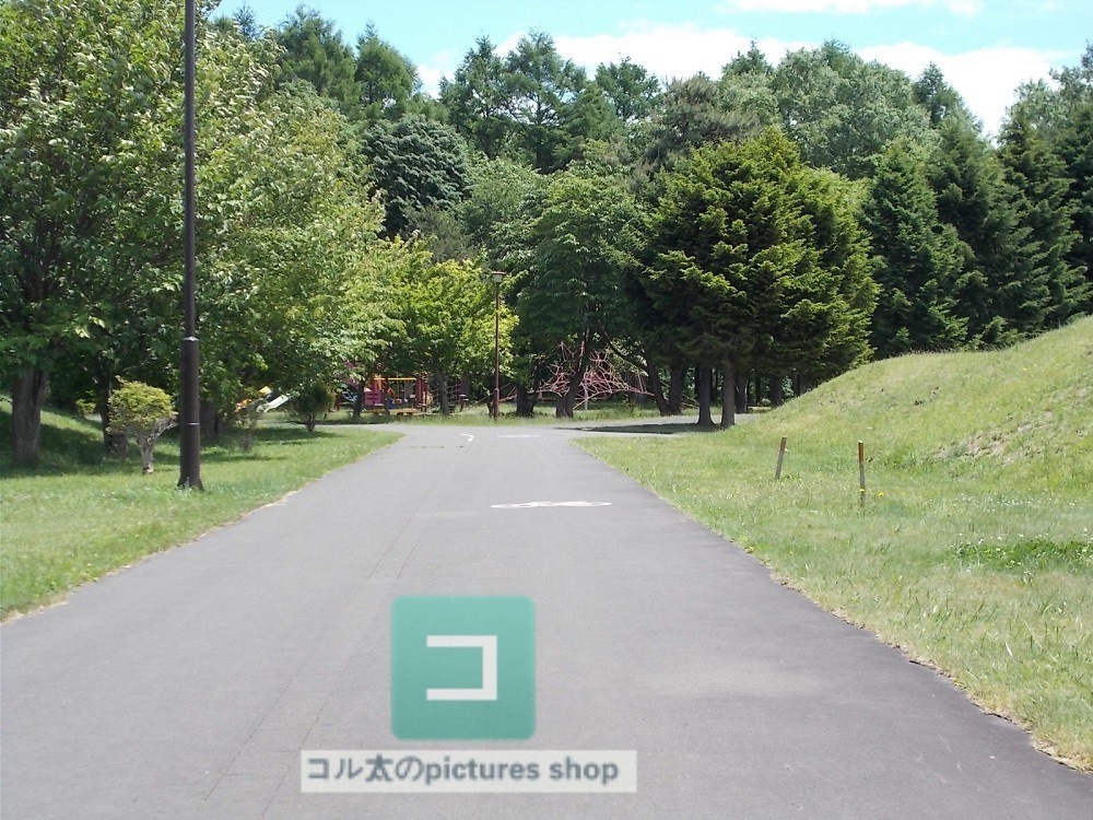 道のある風景③10枚・1セット