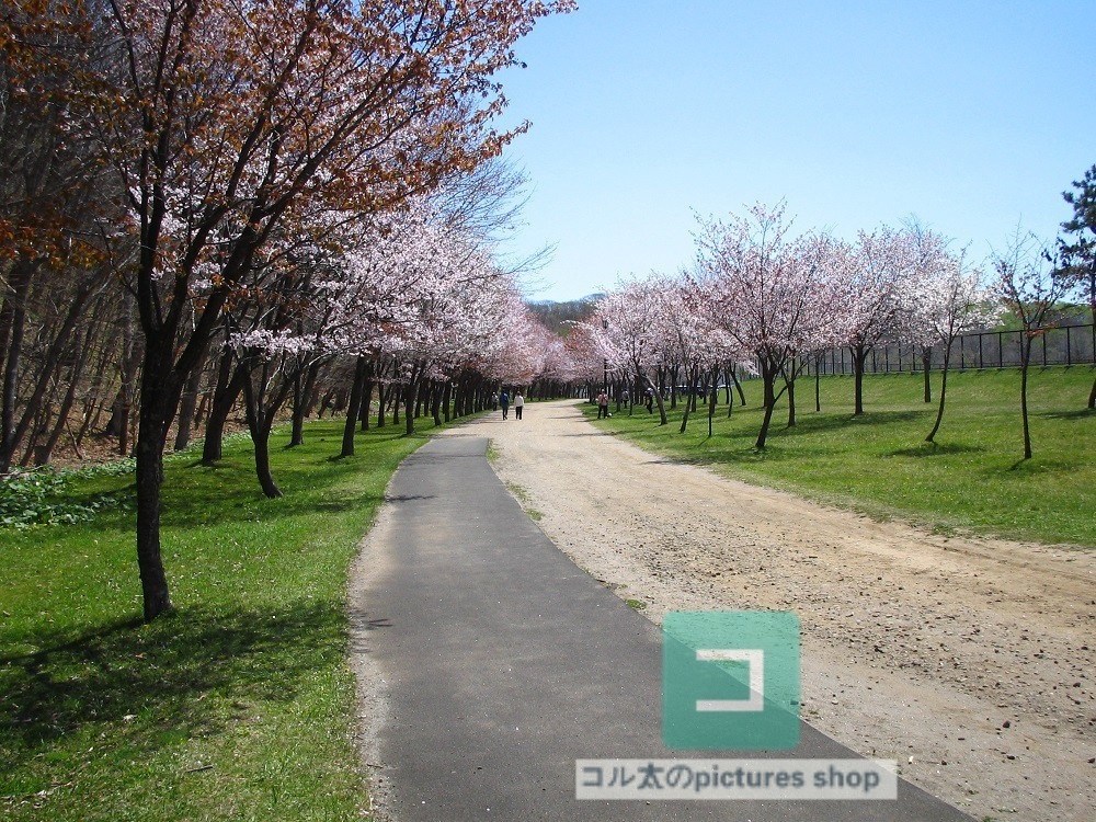 道のある風景③10枚・1セット