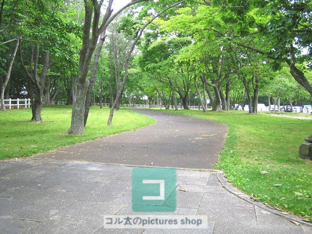 道のある風景③10枚・1セット