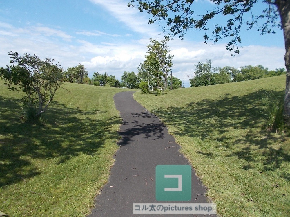 道のある風景③10枚・1セット