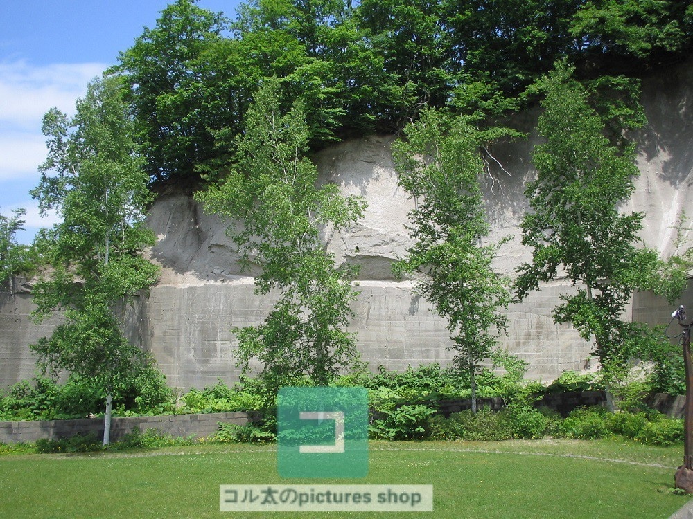 木のある風景②10枚・1セット