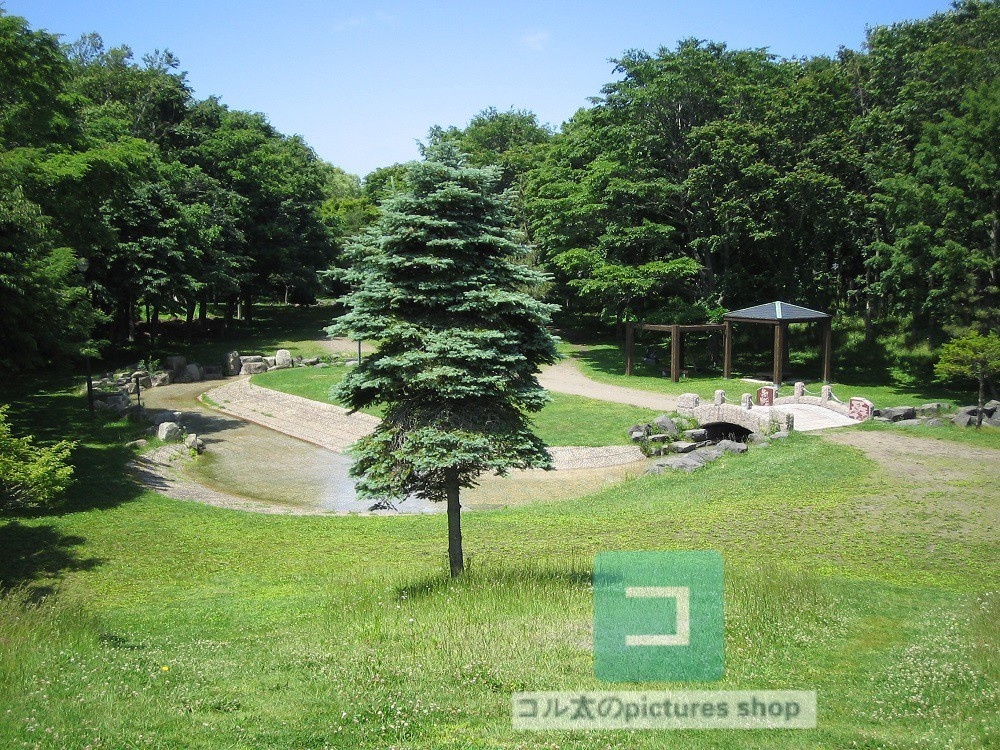 木のある風景①10枚・1セット