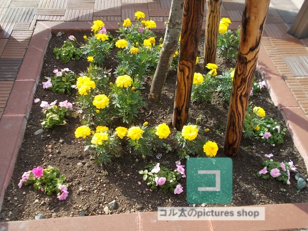 花(黄色)①10枚・1セット