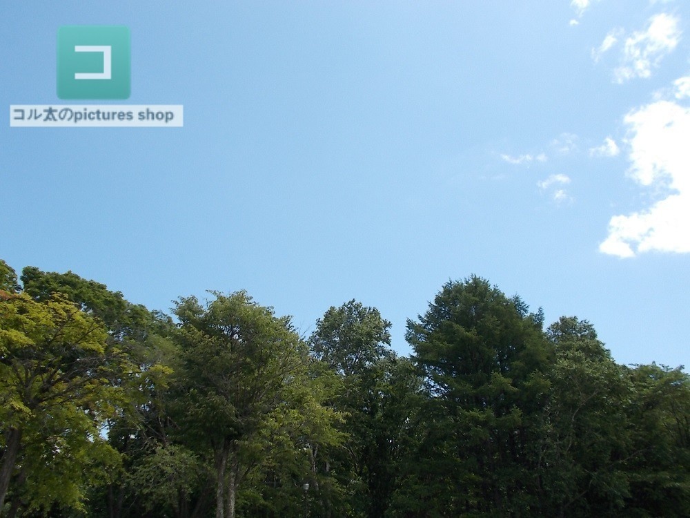 空の風景③10枚・1セット