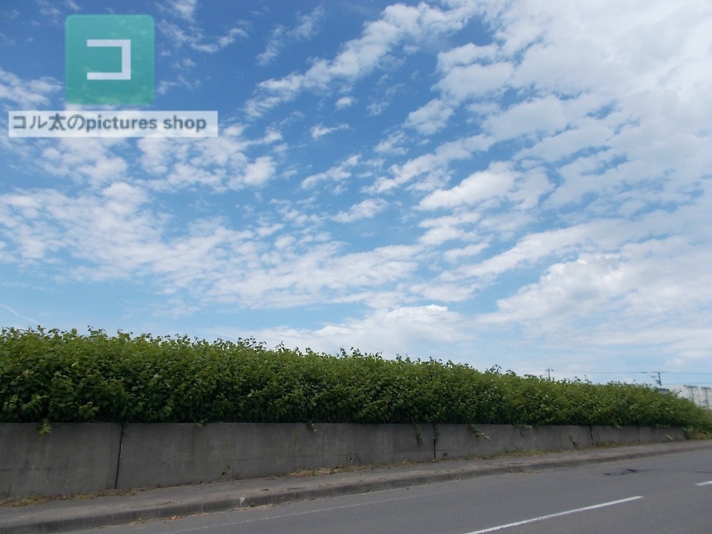 空の風景②10枚・1セット