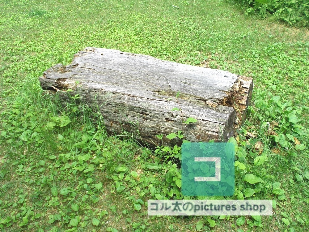 ベンチのある風景①10枚・1セット