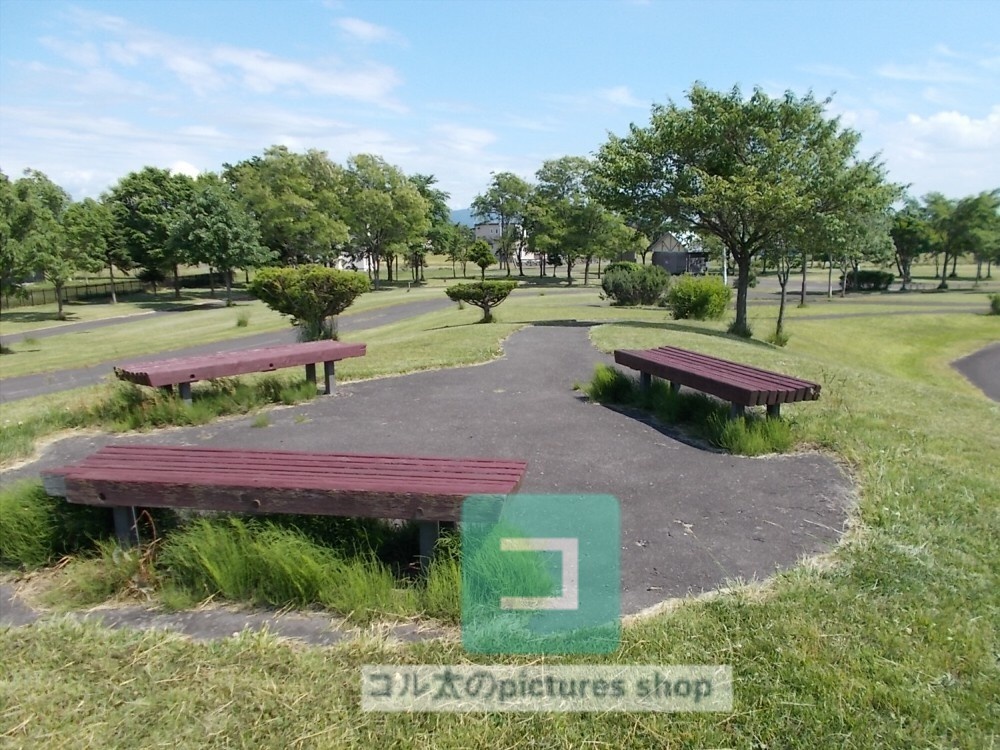 ベンチのある風景②10枚・1セット