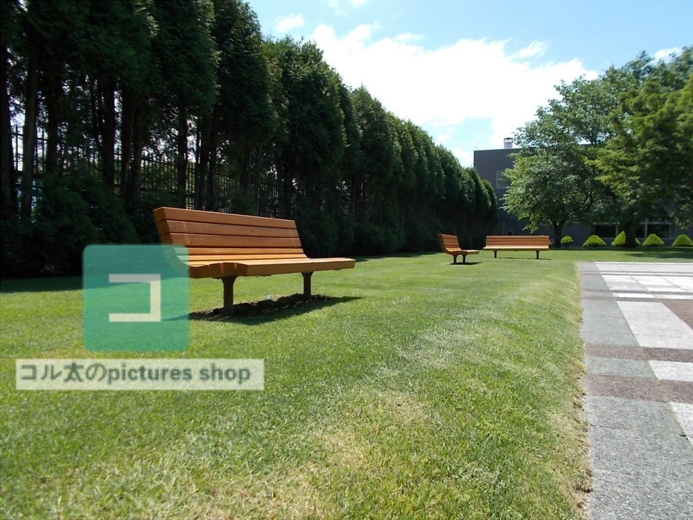 ベンチのある風景③10枚・1セット