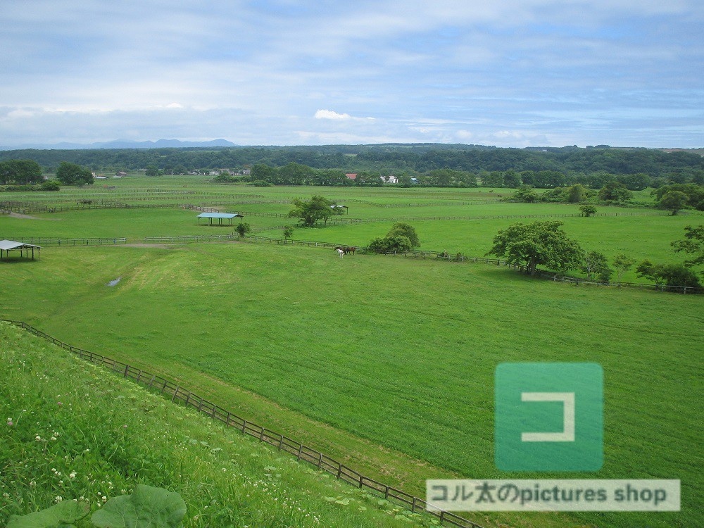 カントリー風景③10枚・1セット