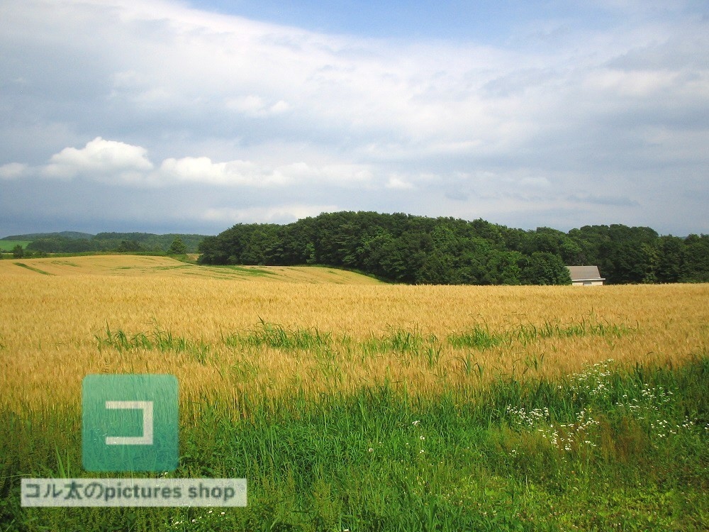 カントリー風景③10枚・1セット