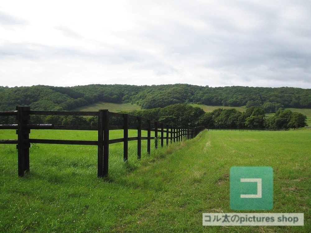 カントリー風景③10枚・1セット