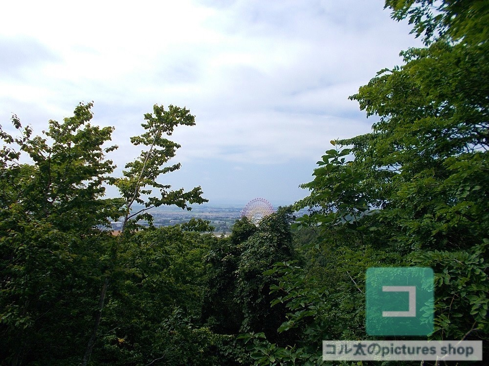 カントリー風景②10枚・1セット